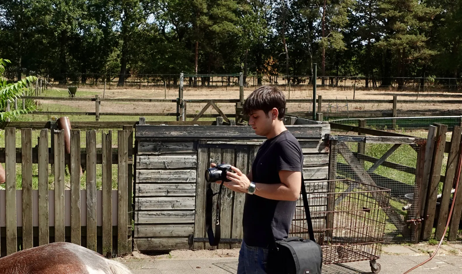 Reviewing footage on camera